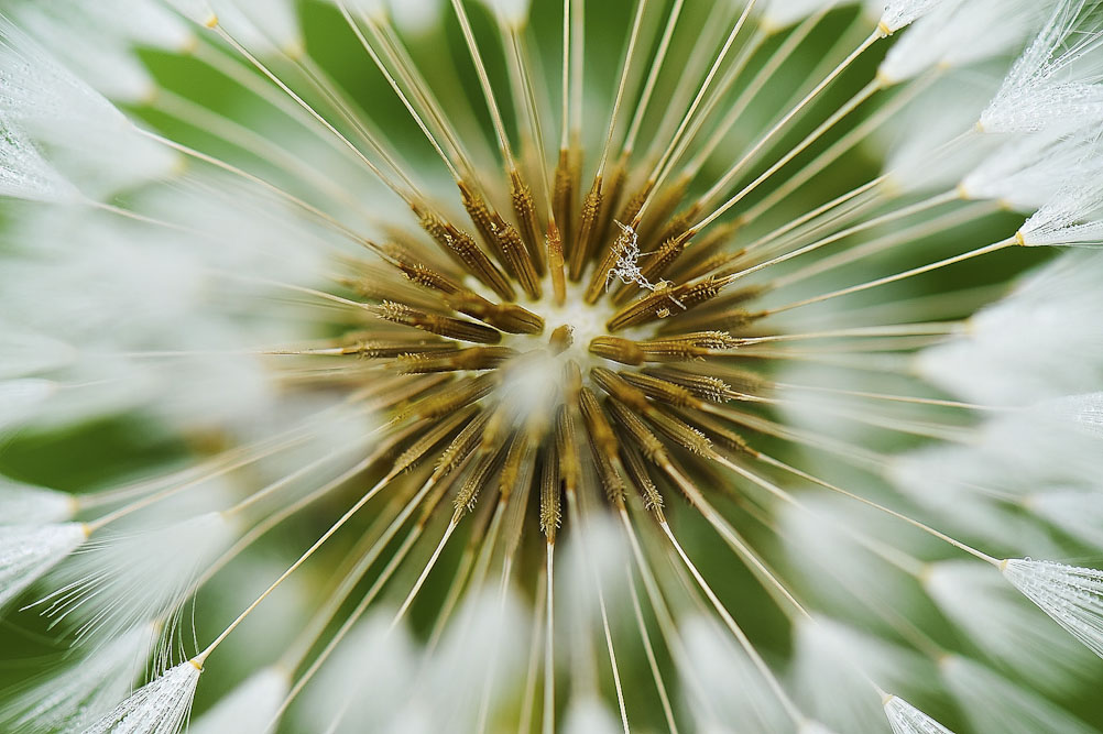 3. Platz Hans Kerler